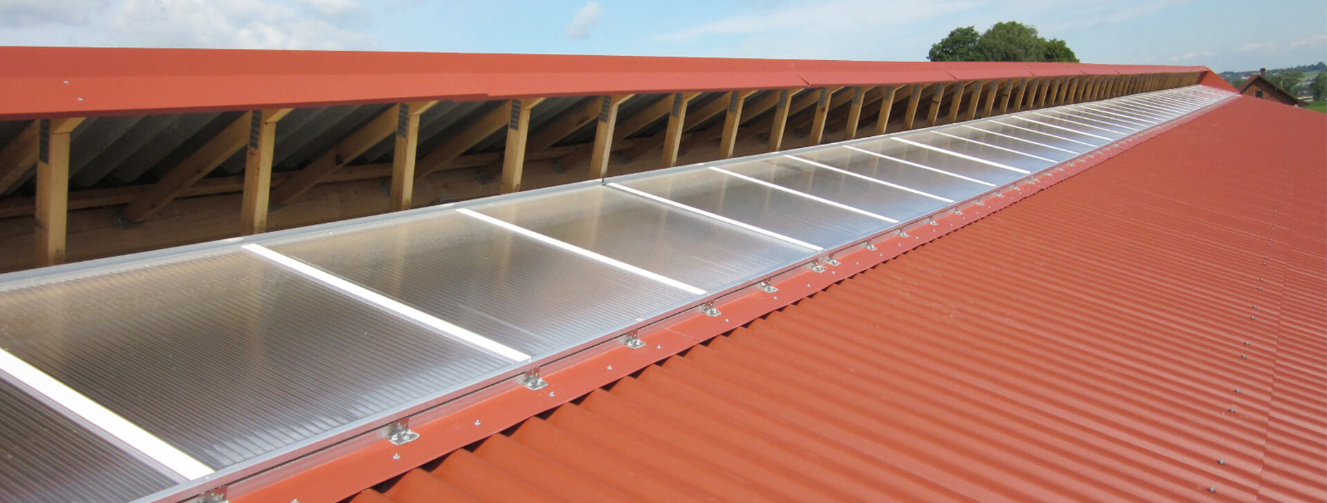 Ventilation and Lighting in the Roof - Agricultural construction - WOLF System