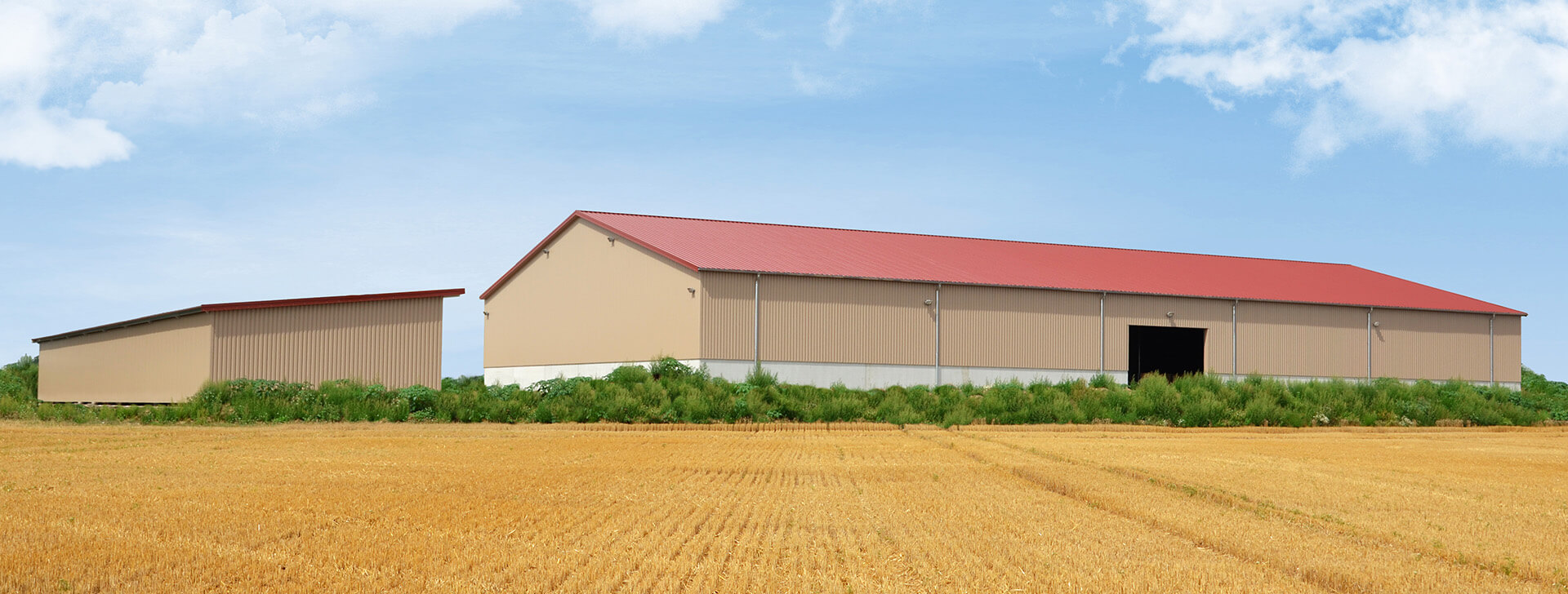 Getreidehallen - Schüttguthallen - WOLF System