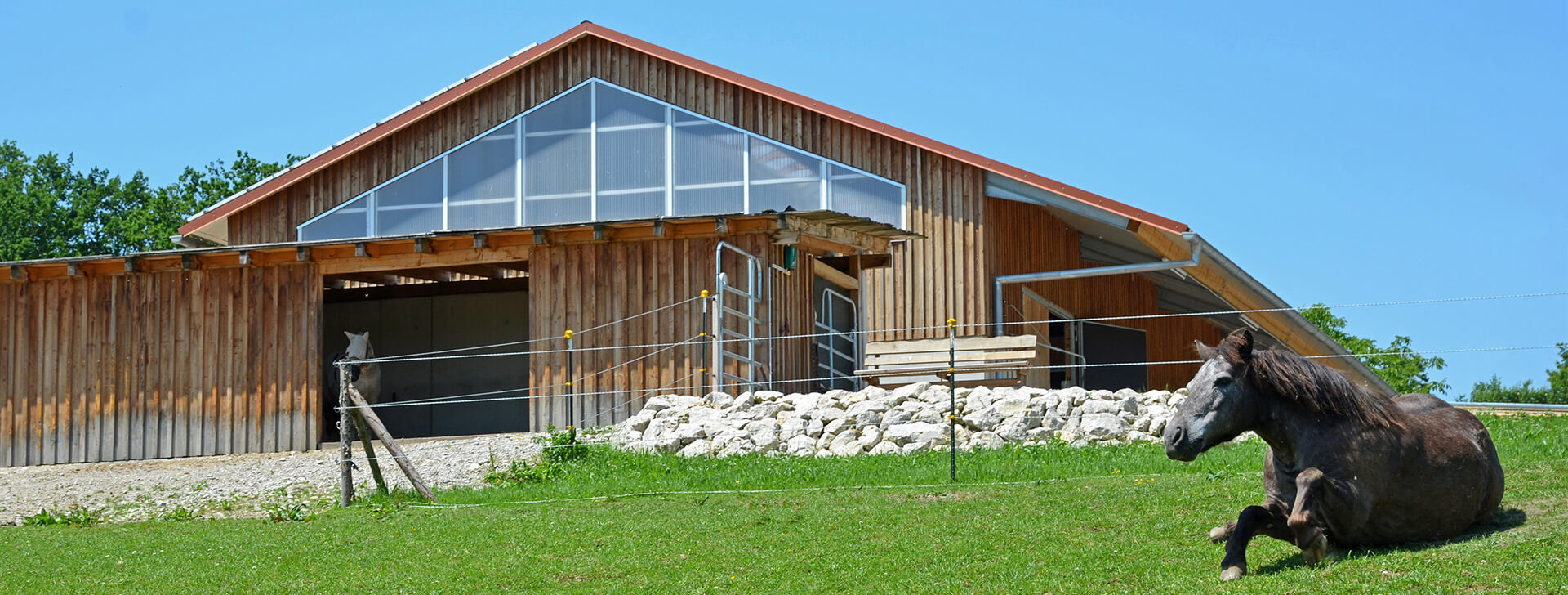 Reithallen - Agrarbau - WOLF System