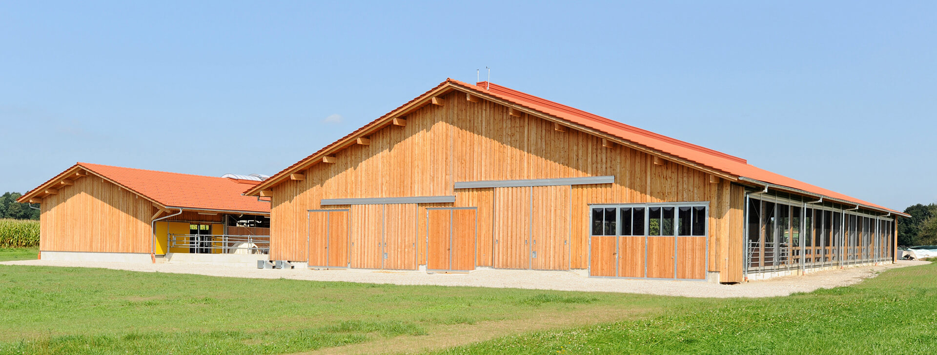 Dairy Barns - Cattle barns - WOLF System