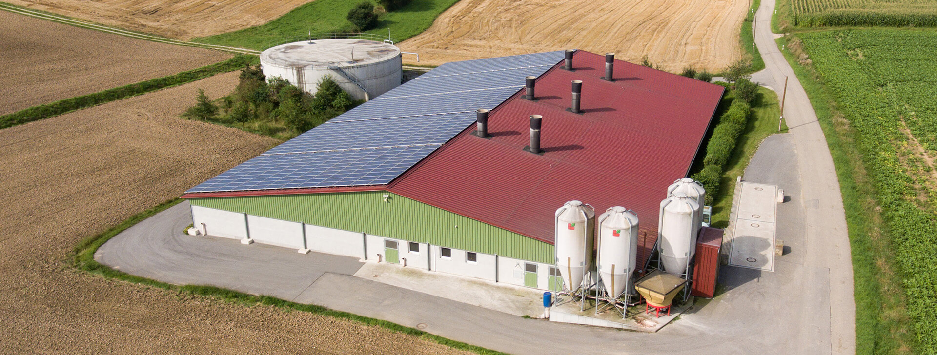 Pig stalls - stables - WOLF System