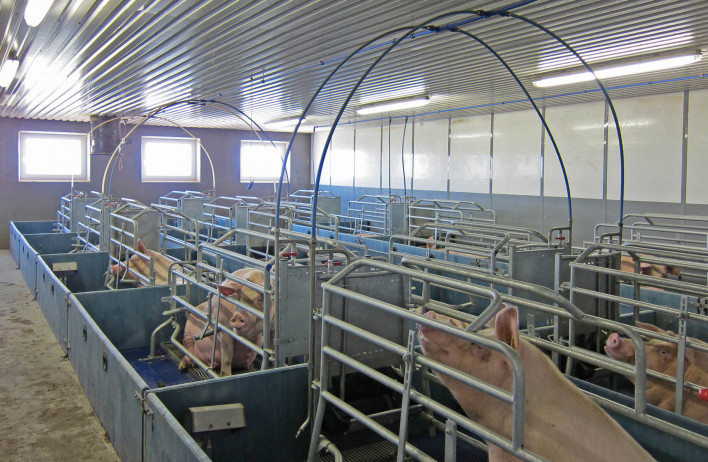 Hog barn - WOLF System Ltd.